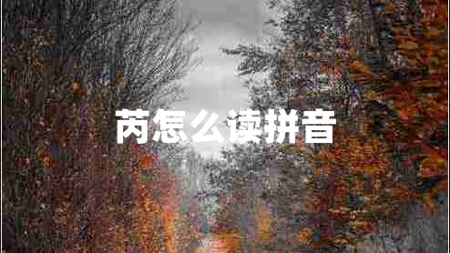 芮怎么讀拼音