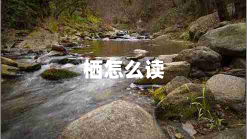 棲怎么讀