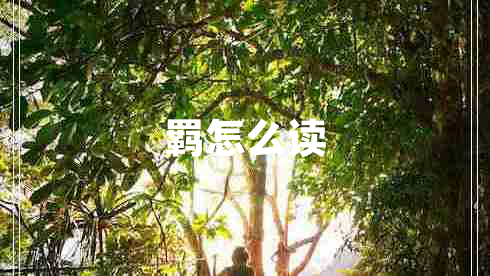 羈怎么讀