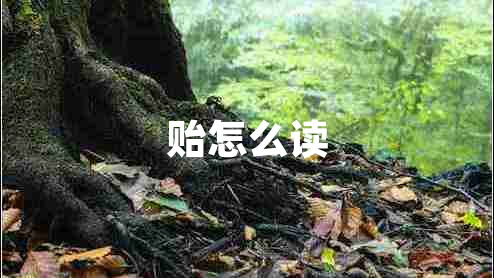 貽怎么讀