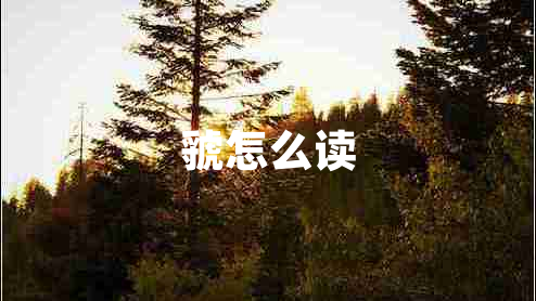 虢怎么讀
