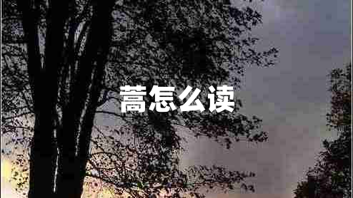 蒿怎么讀