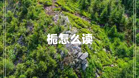 梔怎么讀