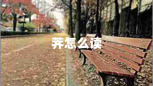 薺怎么讀