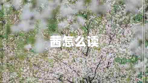 茜怎么讀
