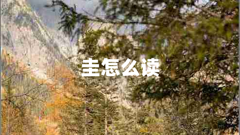 圭怎么讀