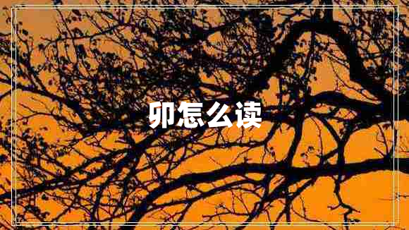 卯怎么讀