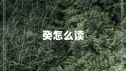 癸怎么讀
