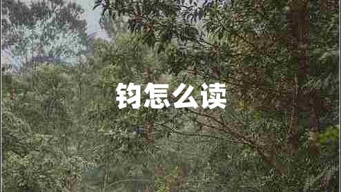 鈞怎么讀