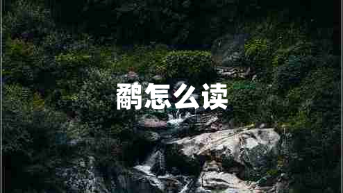 鷸怎么讀