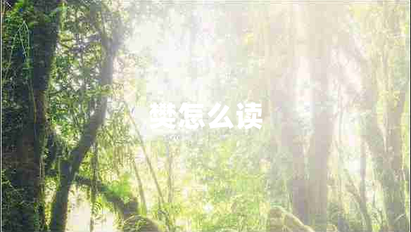 樊怎么讀