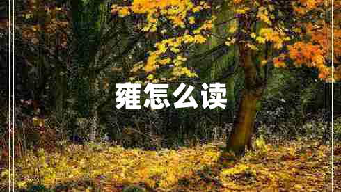 雍怎么讀