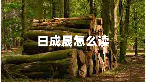 日成晟怎么讀