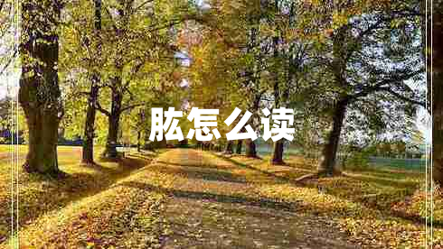 肱怎么讀