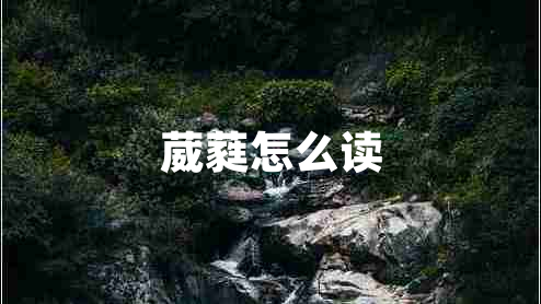 葳蕤怎么讀