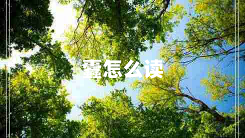 蠹怎么讀