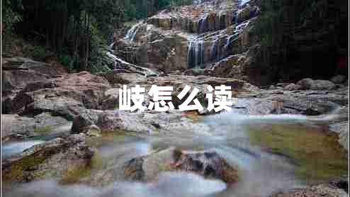 岐怎么讀