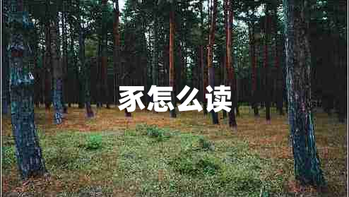 豕怎么讀