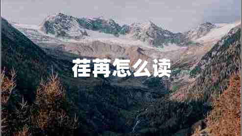 荏苒怎么讀