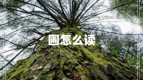 圃怎么讀