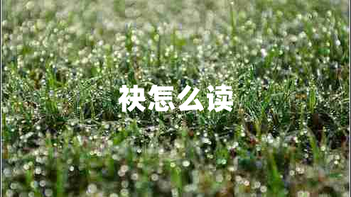 袂怎么讀