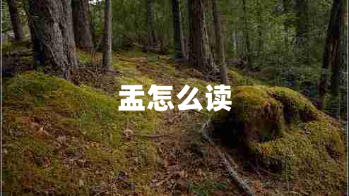 盂怎么讀