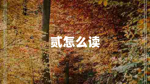 貳怎么讀