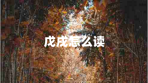 戊戌怎么讀