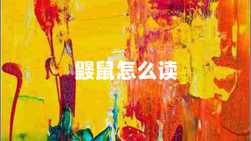 鼴鼠怎么讀
