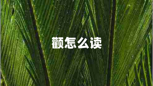 顴怎么讀