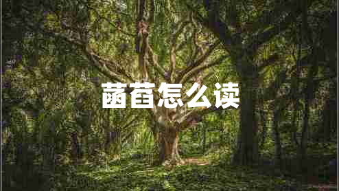 菡萏怎么讀