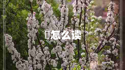 璟怎么讀