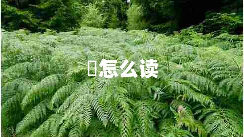 暃怎么讀