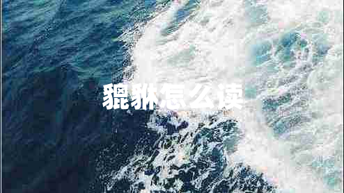 貔貅怎么讀