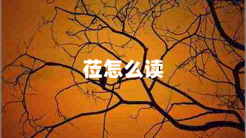 蒞怎么讀