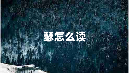 瑟怎么讀
