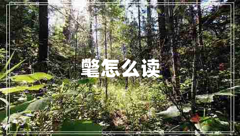 氅怎么讀