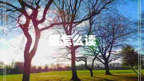 鱖怎么讀