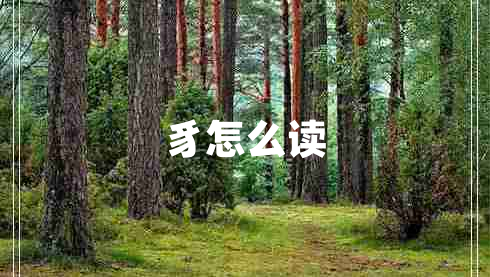 豸怎么讀