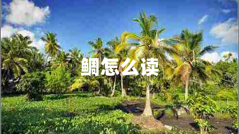 鯛怎么讀
