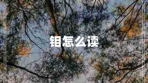 鉬怎么讀