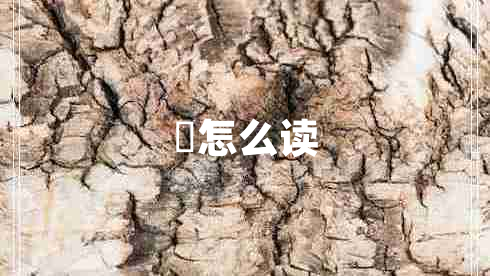 頔怎么讀