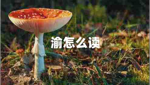 渝怎么讀