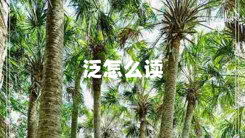 泛怎么讀