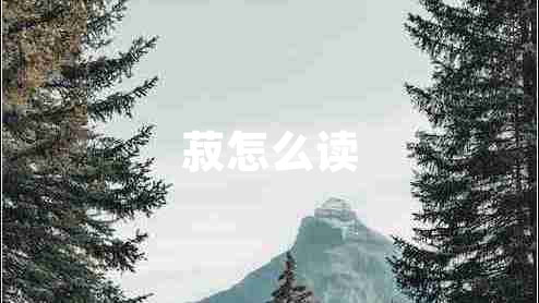菽怎么讀