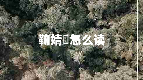 鞠婧祎怎么讀