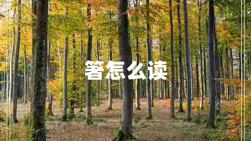 箸怎么讀