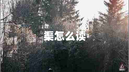 渠怎么讀