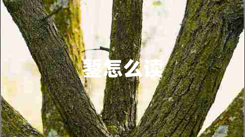 鏨怎么讀