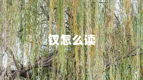釵怎么讀